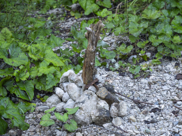 Einstieg "alter Wasserwandsteig"