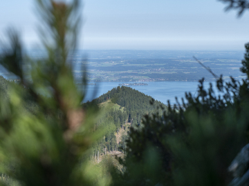 Chiemseeblick