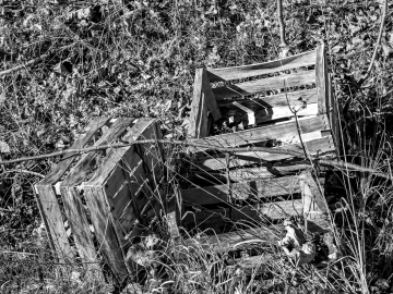 immer wieder diese Kisten...