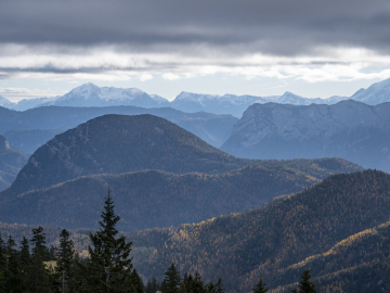 Ristfeuchthorn & Berchtesgadener