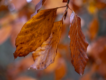 Farben!