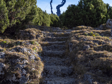 immer wieder diese Hand...