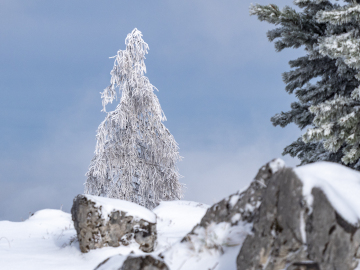 Winterzauber I