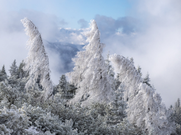 Winterzauber II