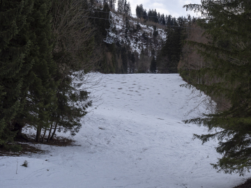 trübe Aussichten