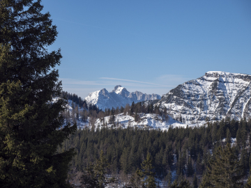 Fellhorn mit Kaisa