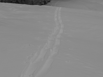 schaut aus wie im richtigen Winter...