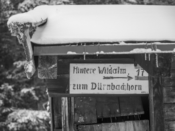 this way