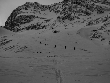dort ziehen sie von dannen