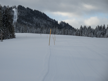 schaut nach richtigem Winter aus