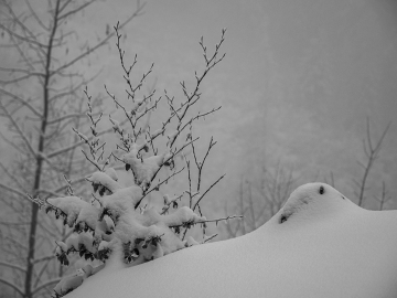 Winter!