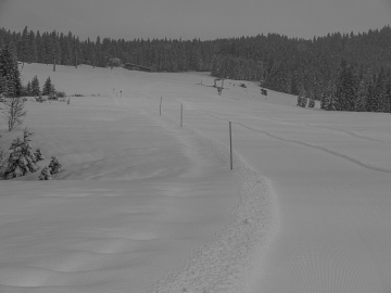 vor fünf Tagen hätte ich gewettet, dass hier heute nichts mehr geht...