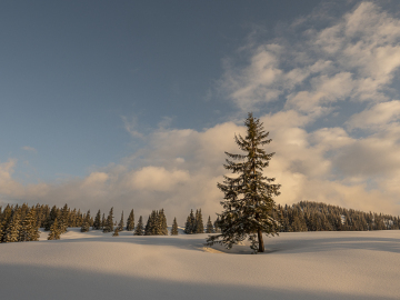 Winterwonderland