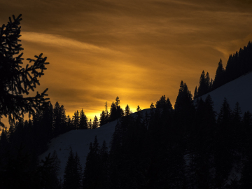 fading light
