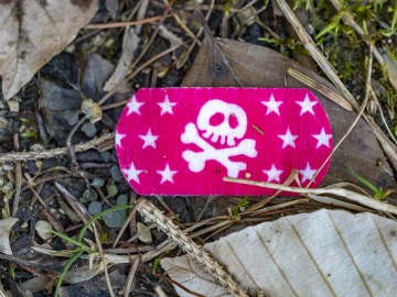 Take care! Pirates on tour!