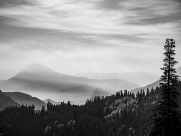 smoky