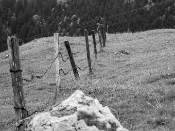 Bründling