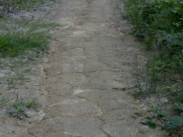 Trockenheit!!!