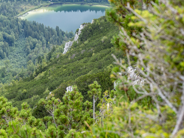 Frillensee