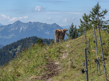 Aussicht genießen auf der Haaralmschneid