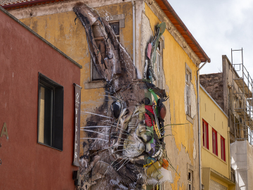 der halbe Hase
