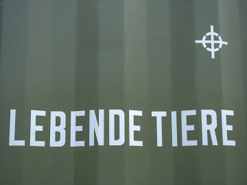 das Zeichen irritiert...