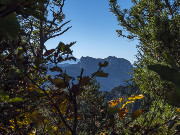 Hörndlwand