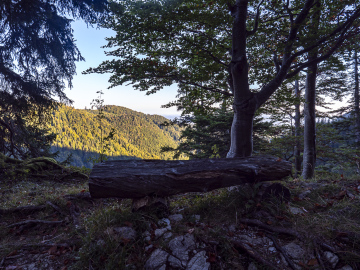 Rastplatz