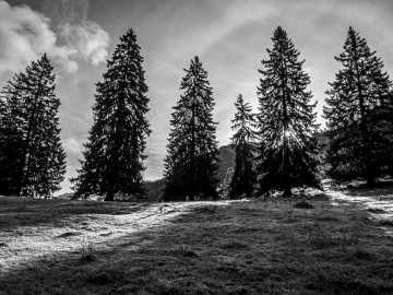 grimmige Gestalten
