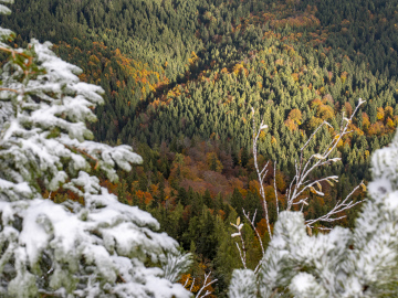 Herbst&Winter