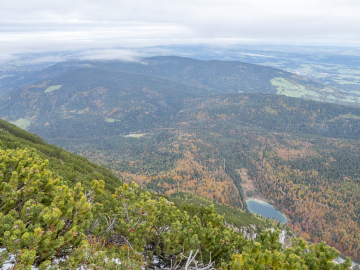 Frillensee