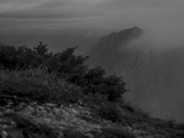Staufenblick