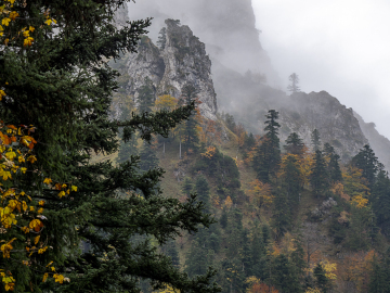 foggy