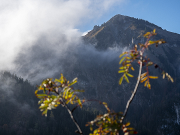 Gern in der Sonne