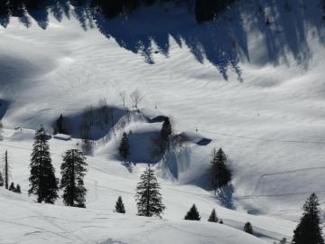Thoraualm