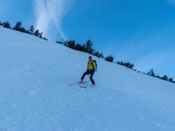 Stemmbogen in Perfektion