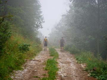 Männer im Nebel ;-)