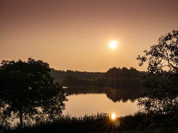 Morgenstimmung
