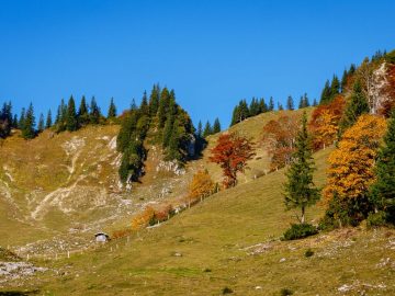 an der Wirtsalm