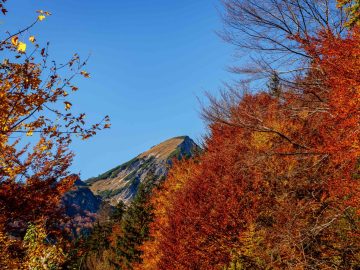 herbstlicher Rückblick