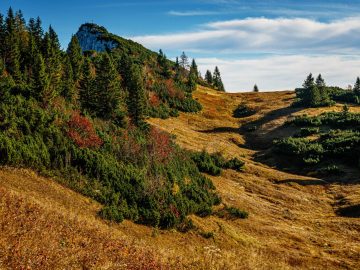 Hörndlwand