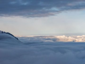 Felln in Watte gehüllt