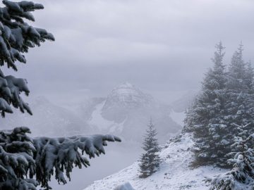 grimmiges Sonntagshorn
