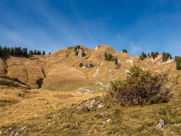 Hochgern von unten