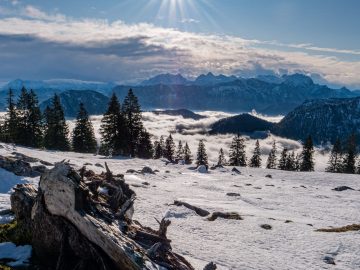 Blick in die Berchesgadener