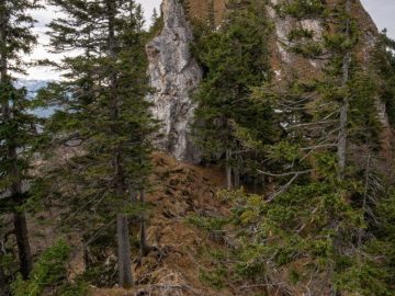 Blick zum Zellerhorn