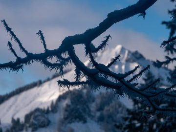 Hochgern
