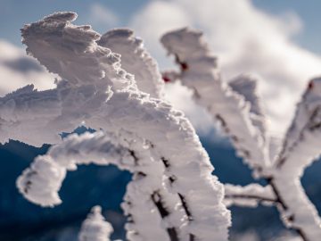 frozen III