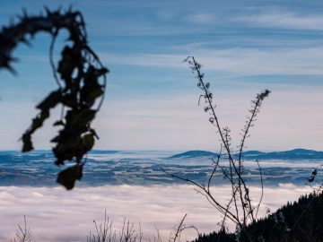 Blick gen Osten