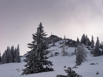 Peitingköpfl